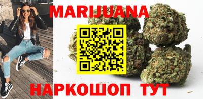 шишки Лесосибирск